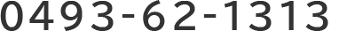 0493-62-1313