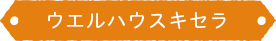 ウェルハウスキセラ