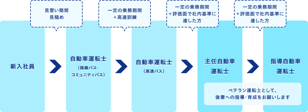 キャリアパスについて