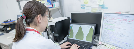 お仕事紹介・Q＆A