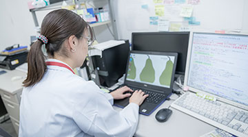 お仕事紹介・Q＆A