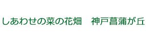 しあわせの菜の花畑　神戸菖蒲が丘 採用ホームページ
