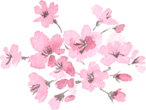 桜 イラスト