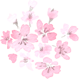 桜 イラスト