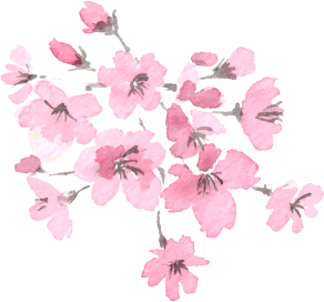 桜 イラスト