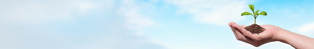 確定拠出年金制度（DC）