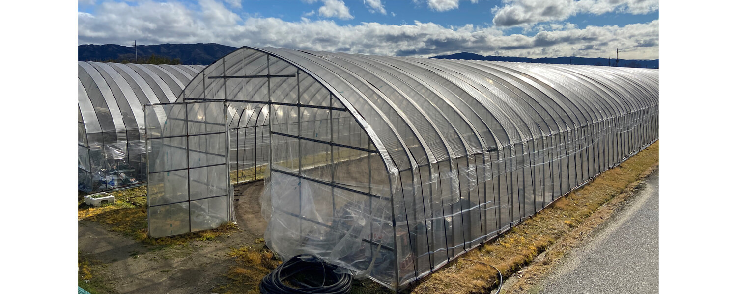 M．Mファーム 採用ホームページ [採用・求人情報]