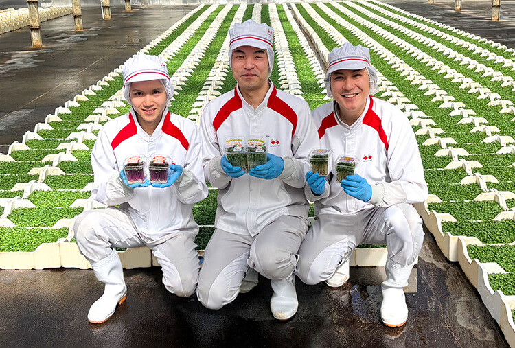パート・アルバイト向けコラム一覧 | | 株式会社村上農園＜公式＞採用