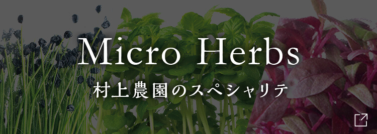 Micro Herbs　村上農園のスペシャリテ