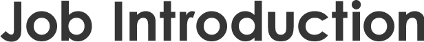 JOB INTRODUCTION