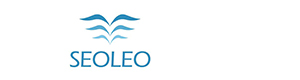 株式会社SEOLEO 採用ホームページ