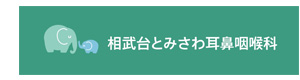 相武台とみさわ耳鼻咽喉科 採用ホームページ