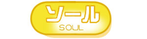 株式会社ソール 採用ホームページ