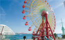 ギャラリー写真6